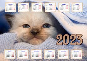 2023 calendar example 11