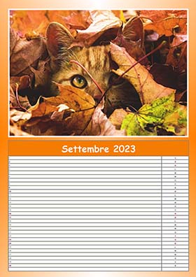 2023 calendar example 8