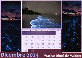 2024 calendar example 14