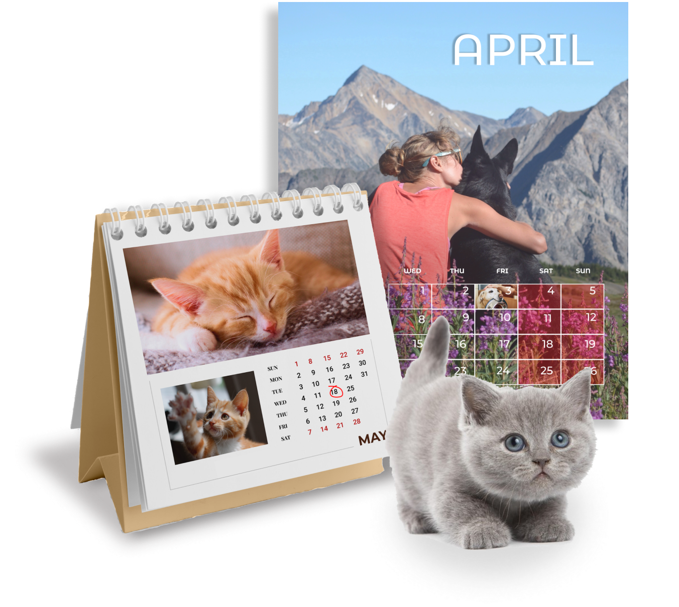 Vuoi creare calendari da tavolo personalizzati?